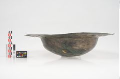 Foto von Bronzebreitrandschale (NHMW-PRAE-025473)